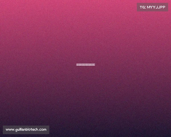 赛事体系的意思体育赛事体系